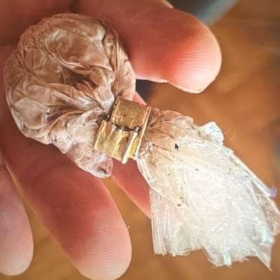 Giftköder-Giftköder-Bild