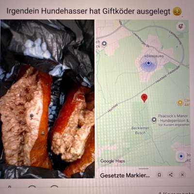 Giftköder-Giftköder-Bild