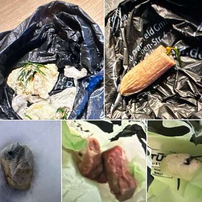 Giftköder-Neuer Giftköder-Bild