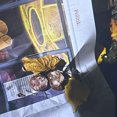 Giftköder-Giftköderverdacht-Bild