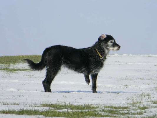 Lieblings Schnappschuss?-Beitrag-Bild