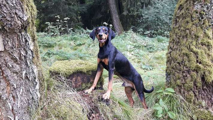 Lieblings Schnappschuss?-Beitrag-Bild