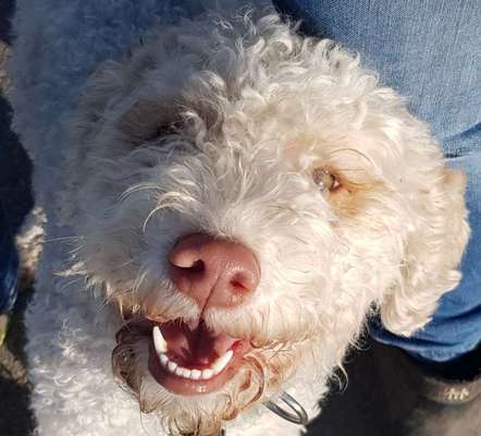 Von oben-Beitrag-Bild