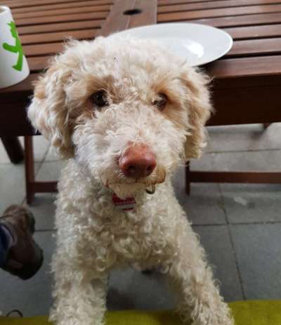 Danke ...-Beitrag-Bild