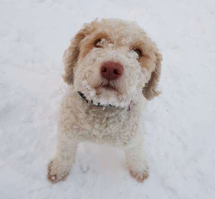 Lieblingsbild-Beitrag-Bild