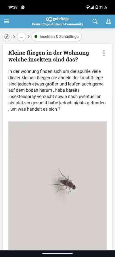 Welches Tier ist das?-Beitrag-Bild