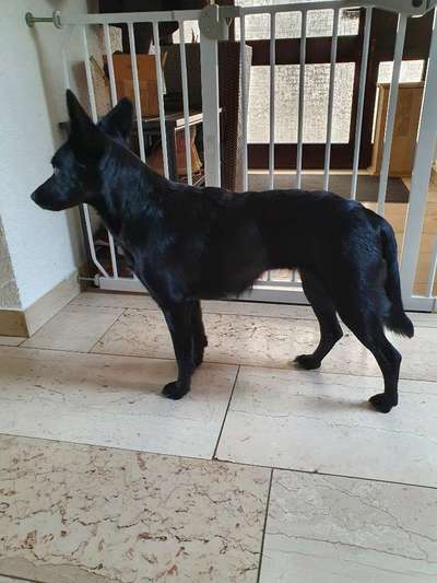 Gebetsstellung-Beitrag-Bild