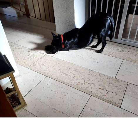 Gebetsstellung-Beitrag-Bild