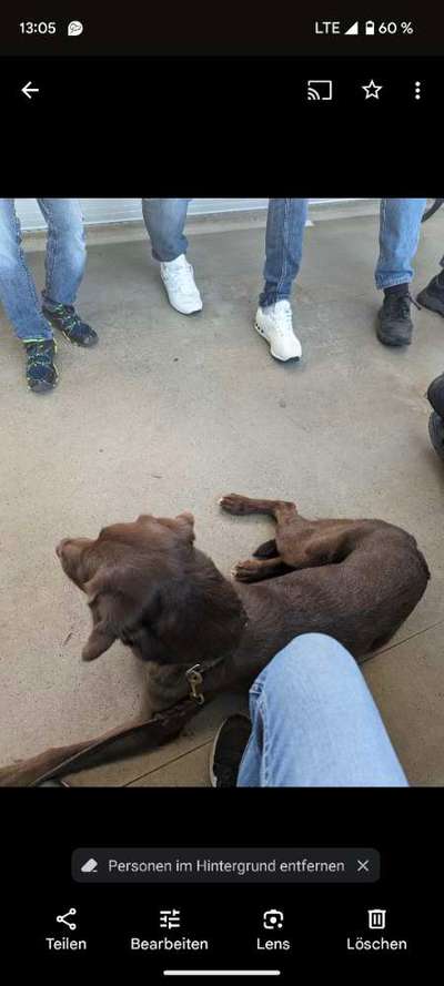 34. Impulskontrollübung "Ruhe an fremden Orten"-Beitrag-Bild