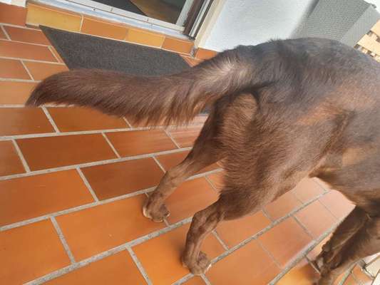 Außergewöhnliche Merkmale-Beitrag-Bild