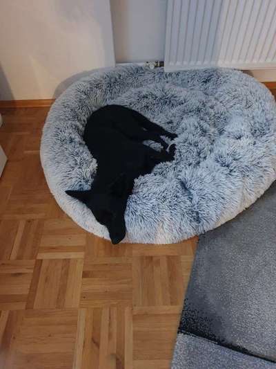 Gebetsstellung-Beitrag-Bild