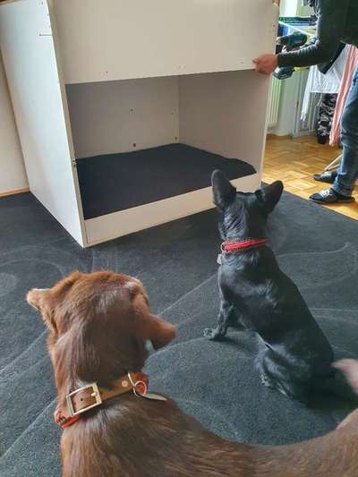 Upcycling - aus Alt mach Neu-Beitrag-Bild