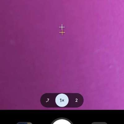 Impulskontrollübung 67: Laufbilder mit dem Hund 📸-Beitrag-Bild