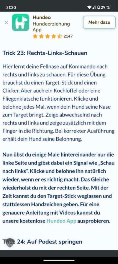 63. gemeinsames Trick training/ Callenge: rechts, links schauen-Beitrag-Bild