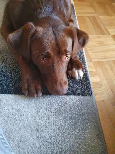 TRICK CHALLENGE NR. 10-Beitrag-Bild