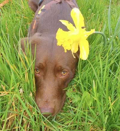 25. Farben Fotochallenge ,,Bernstein"-Beitrag-Bild