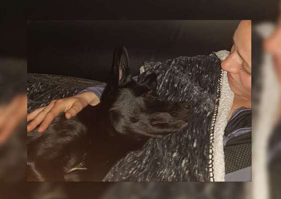 KUSCHEL PARTNER-Beitrag-Bild