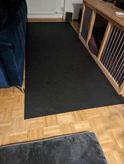 42. Gemeinsames Tricktraining: Look-Target-Beitrag-Bild