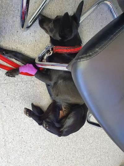 Gebetsstellung-Beitrag-Bild