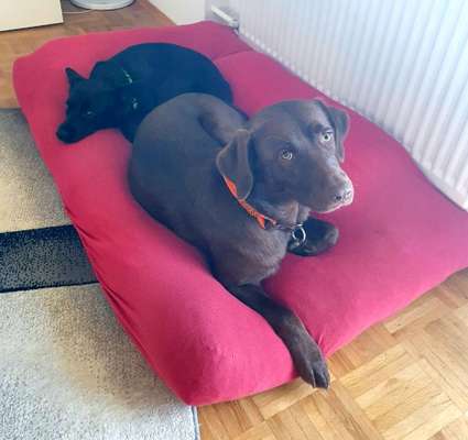 Upcycling - aus Alt mach Neu-Beitrag-Bild