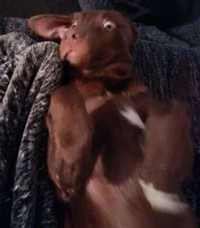 Her mit dem Grimassen-Beitrag-Bild