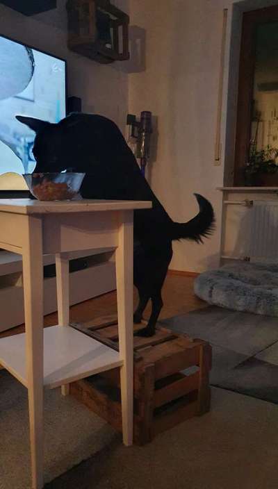 Gebetsstellung-Beitrag-Bild