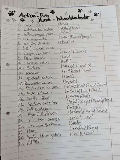 Trick Adventskalender-Beitrag-Bild