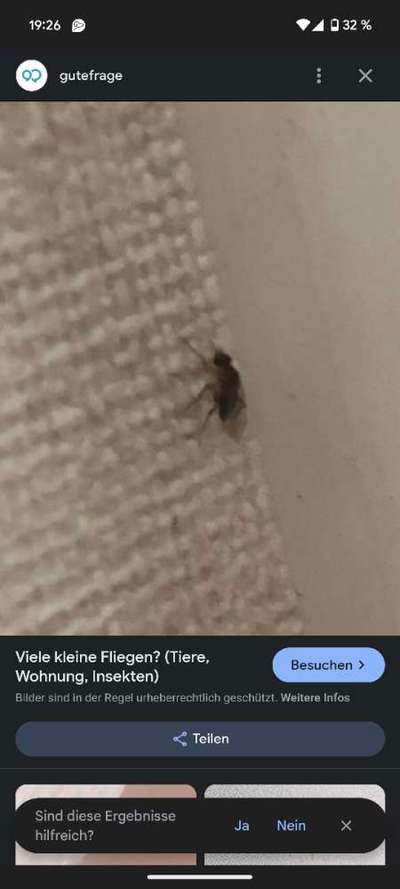 Welches Tier ist das?-Beitrag-Bild