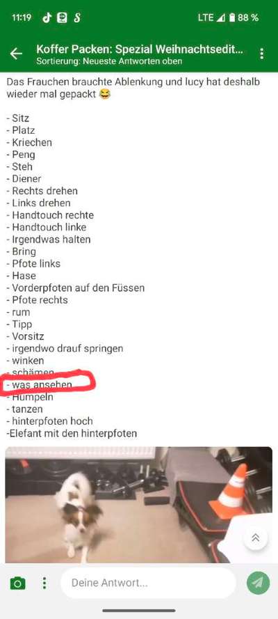 Koffer Packen: Spezial Weihnachtsedition-Beitrag-Bild