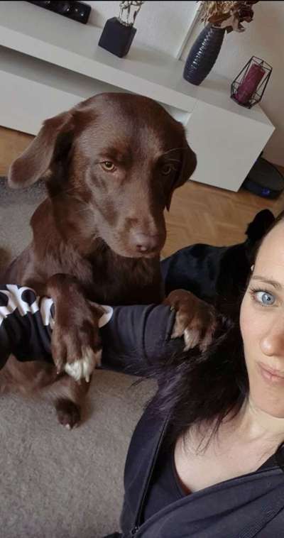 Trick Challenge Nr. 20   "Selfietrick"-Beitrag-Bild