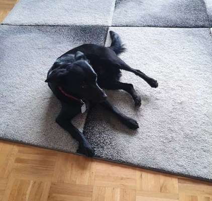 Gebetsstellung-Beitrag-Bild