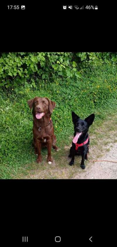 Tongue Out Tuesday-Beitrag-Bild