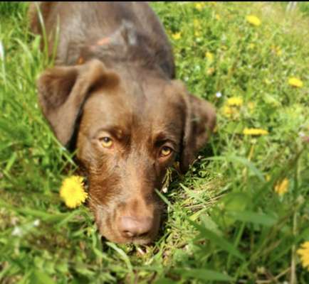 TRICK CHALLENGE NR. 10-Beitrag-Bild