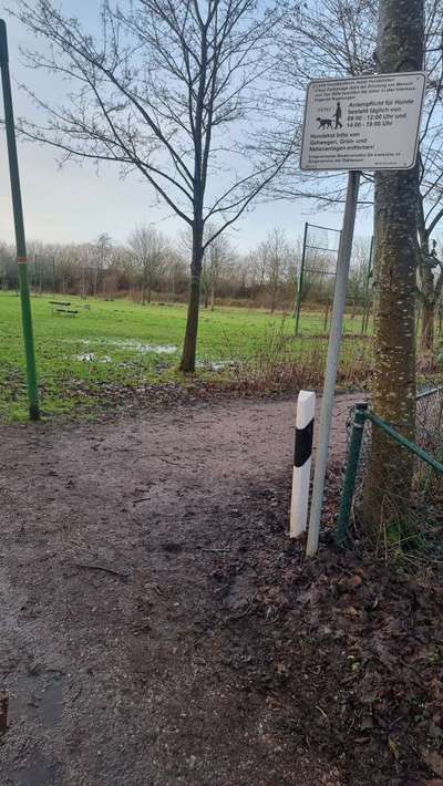 Hundeauslaufgebiet-Park Middelsfähr-Bild