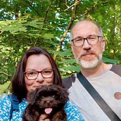 Hundetreffen-Treffen für kleine Welpen-Profilbild