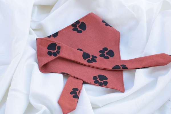 %{de_profession_title}-Hundehalstuch Pfoten terracotta-Bild