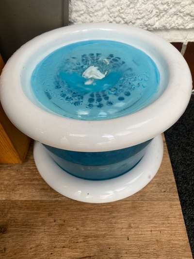 Hund trinkt nicht-Beitrag-Bild