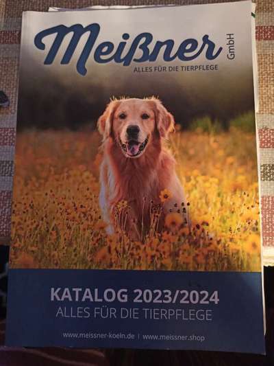 Lagotto Romagnolo Besitzer-Beitrag-Bild