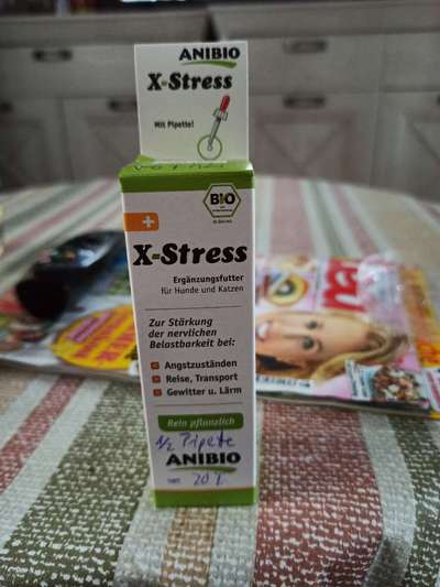 Lagotto Romagnolo Besitzer-Beitrag-Bild