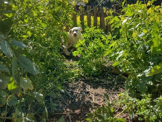 Handyfoto challenge Nr. 13: Waschlappen raus!-Beitrag-Bild