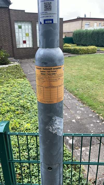 Giftköder-Rattengift-Bild