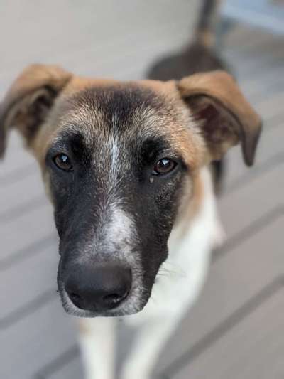 Fotochallange Nr. 57     PORTRÄT.   Beendet!!!!!!!!-Beitrag-Bild