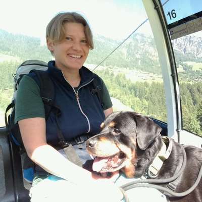 Hundetreffen-Gemeinsames Gassi gehen-Bild