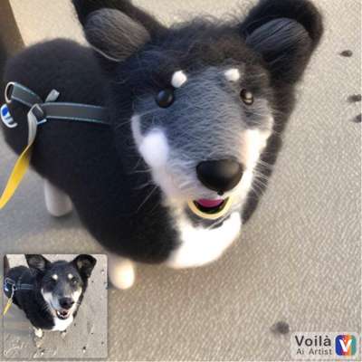 Voila app Bilder-Beitrag-Bild