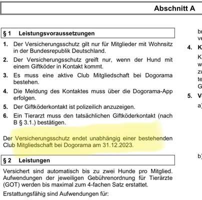 Deine Fragen zum Dogorama Club-Beitrag-Bild