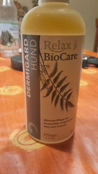 Pusteln-Beitrag-Bild