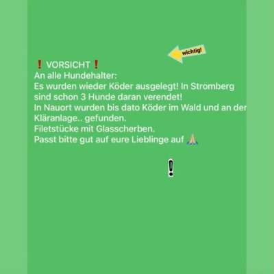Giftköder-Warnung Nauort/ Sessenbach und Umkreis-Bild