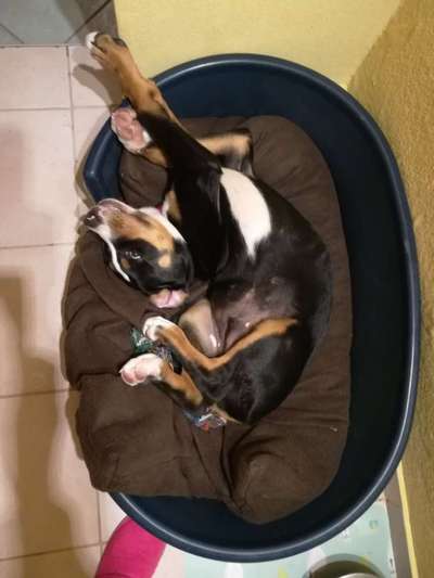 CHALLENGE NR. 34 - Liege-/Schlafpositionen-Beitrag-Bild