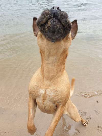 LUSTIGE FOTOS! WER KANN MITHALTEN?-Beitrag-Bild