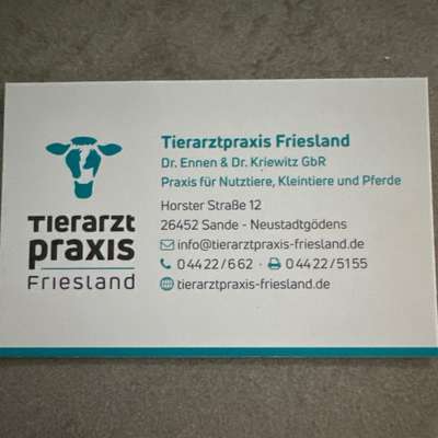 Tierärzte-Tierarztpraxis Friesland-Bild
